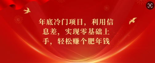 年底冷门项目，利用信息差，实现零基础上手，轻松赚个肥年钱【揭秘】-搞个副业