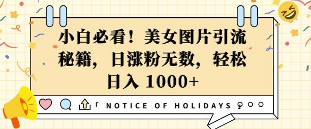 小白必看，美女图片引流秘籍，日涨粉无数，轻松日入几张【揭秘】-搞个副业