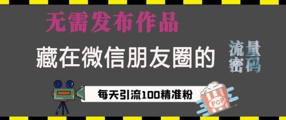 藏在微信朋友圈的流量密码，无需发布作品，单日引流100+精准创业粉【揭秘】-搞个副业