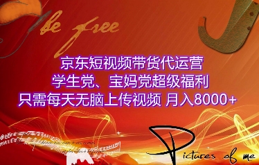 京东短视频带货代运营，学生党、宝妈党超级福利，只需每天无脑上传视频，月入8000+【仅揭秘】-搞个副业