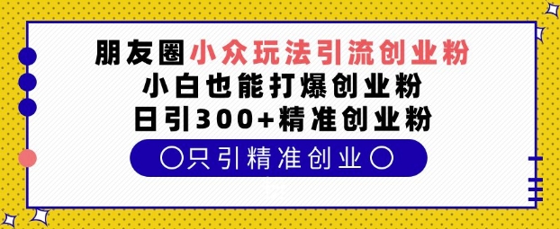 朋友圈小众玩法引流创业粉，小白也能打爆创业粉，日引300+精准创业粉【揭秘】-搞个副业