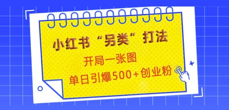 小红书“另类”打法，开局一张图，单日引爆500+精准创业粉【揭秘】-搞个副业