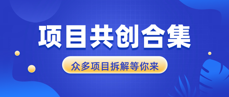 项目共创合集，从0-1全过程拆解，让你迅速找到适合自已的项目-搞个副业