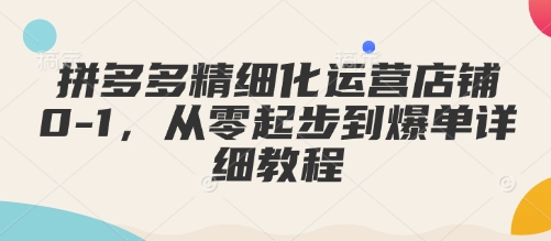 拼多多精细化运营店铺0-1，从零起步到爆单详细教程-搞个副业