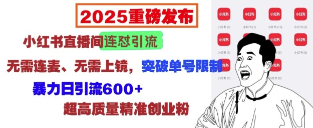 2025重磅发布：小红书直播间连怼引流，无需连麦、无需上镜，突破单号限制，暴力日引流600+-搞个副业