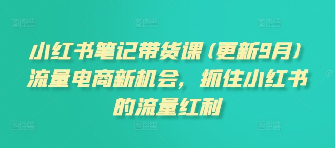 小红书笔记带货课(更新25年1月)流量电商新机会，抓住小红书的流量红利-搞个副业
