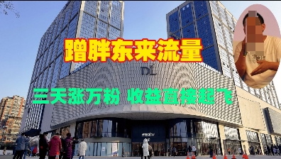 蹭胖东来流量，三天涨万粉，收益直接起飞-搞个副业