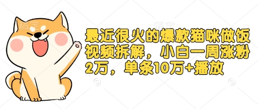最近很火的爆款猫咪做饭视频拆解，小白一周涨粉2万，单条10万+播放(附保姆级教程)-搞个副业