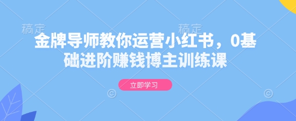 金牌导师教你运营小红书，0基础进阶赚钱博主训练课-搞个副业