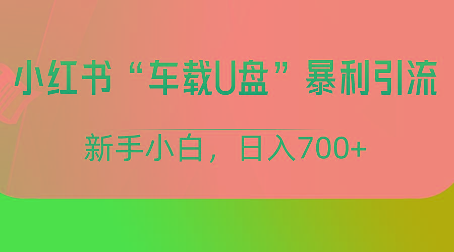 小红书“车载U盘”项目，暴利引流，新手小白轻松日入700+-搞个副业