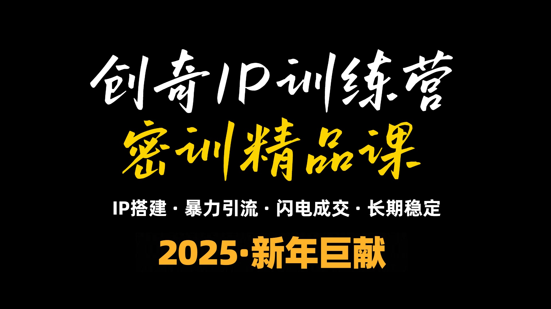 2025年“知识付费IP训练营”小白避坑年赚百万，暴力引流，闪电成交-搞个副业