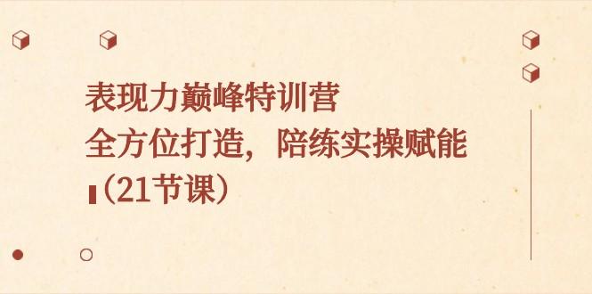 表现力巅峰特训营，全方位打造，陪练实操赋能（21节课）-搞个副业