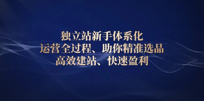 独立站新手体系化 运营全过程，助你精准选品、高效建站、快速盈利-搞个副业