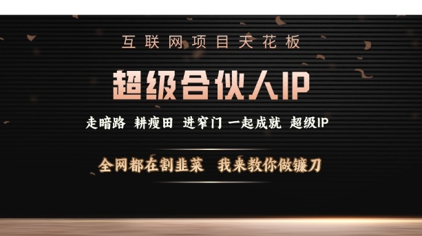 互联网项目天花板，超级合伙人IP，全网都在割韭菜，我来教你做镰刀【仅揭秘】-搞个副业