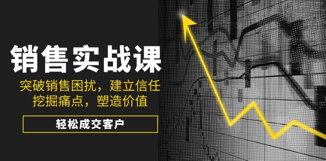 销售实战课，突破销售困扰，建立信任，挖掘痛点，塑造价值，轻松成交客户-搞个副业