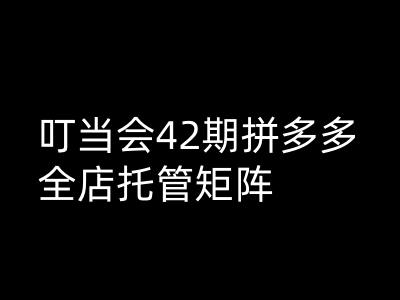 叮当会拼多多打爆班原创高阶技术第42期，拼多多全店托管矩阵-搞个副业
