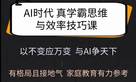 Ai时代真学霸思维与学习方法课，有格局且接地气，家庭教育有力参考-搞个副业
