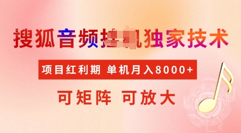 全网首发搜狐音频挂JI独家技术，项目红利期，可矩阵可放大，稳定月入8k【揭秘】-搞个副业