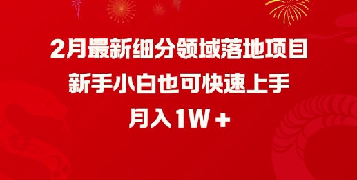 2月最新细分领域落地项目，新手小白也可快速上手，月入1W-搞个副业