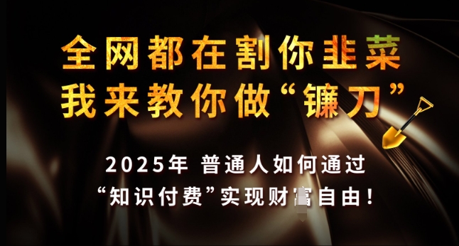 全网都在割你韭菜，我来教你做镰刀，2025年普通人如何通过 知识付费 实现财F自由【揭秘】-搞个副业