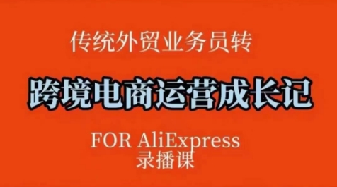 跨境电商速卖通运营课，​运营方法论+后台实操，逻辑清晰-搞个副业