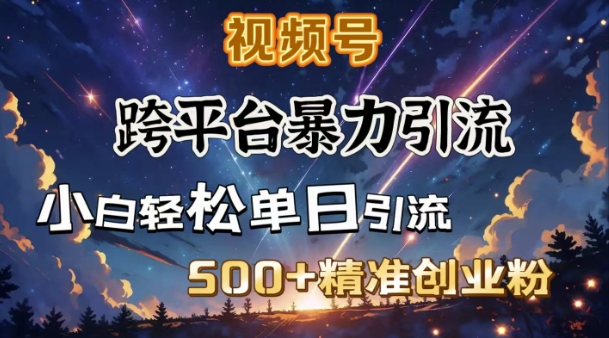 跨平台暴力引流，私域完美闭环，日引500+精准创业粉-搞个副业