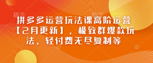 拼多多运营玩法课高阶运营【2月更新】，极致群爆款玩法，轻付费无尽复制等-搞个副业