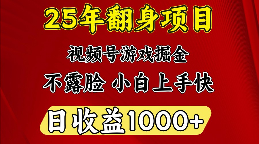 一天收益1000+ 25年开年落地好项目-搞个副业