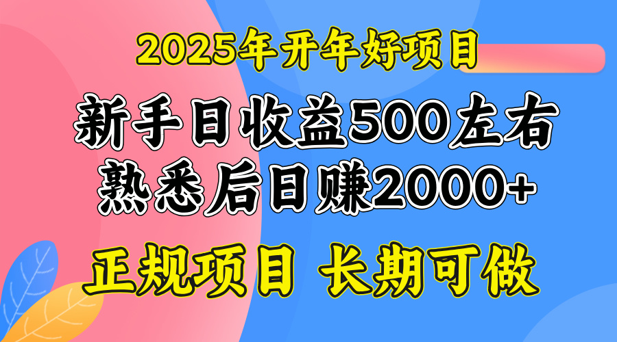 2025开年好项目，单号日收益2000左右-搞个副业