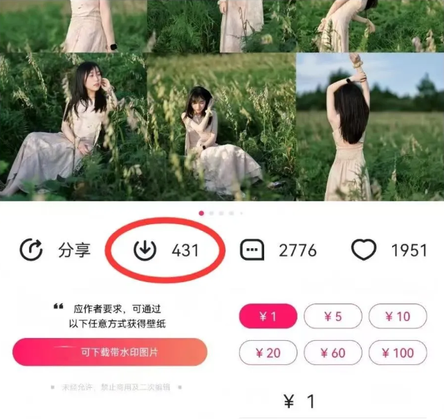 最新图虫搬运项目，收益无上限，利用AI小白也可日赚500+-搞个副业