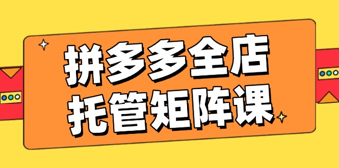 拼多多全店托管矩阵课，盈利动销玩法，高效计划设置，提升店铺效益-搞个副业