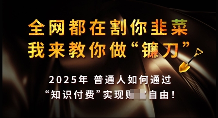 知识付费如何做到月入过W+，2025我来教你做“镰刀”【揭秘】-搞个副业