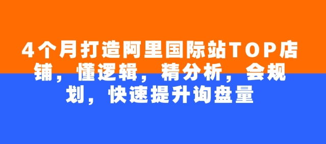 4个月打造阿里国际站TOP店铺，懂逻辑，精分析，会规划，快速提升询盘量-搞个副业
