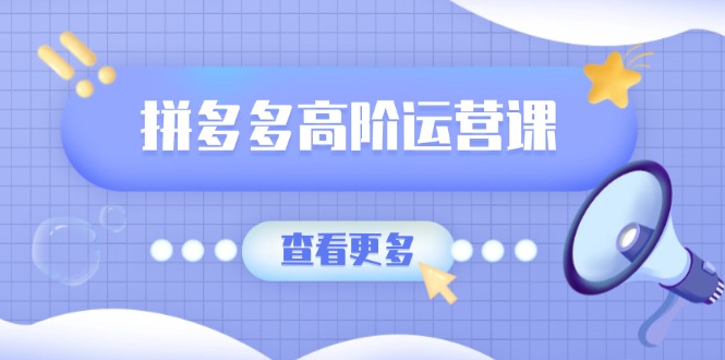 拼多多高阶运营课：极致群爆款玩法，轻付费无尽复制，打造单品爆款之路-搞个副业