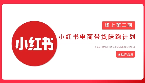 2025小红书虚拟电商实战课，从0到1打造无货源店铺，AI+爆款笔记轻松变现-搞个副业