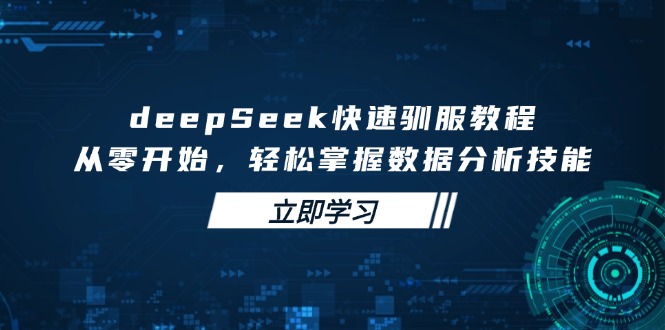 deepSeek快速驯服教程，从零开始，轻松掌握数据分析技能-搞个副业