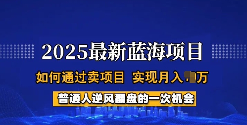 2025蓝海项目，普通人如何通过卖项目，实现月入过W，全过程【揭秘】-搞个副业