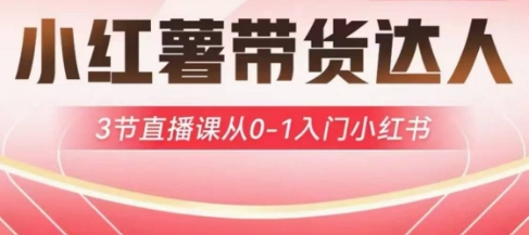 小红薯达人带货启航计划，3节直播课从0-1入门小红书-搞个副业