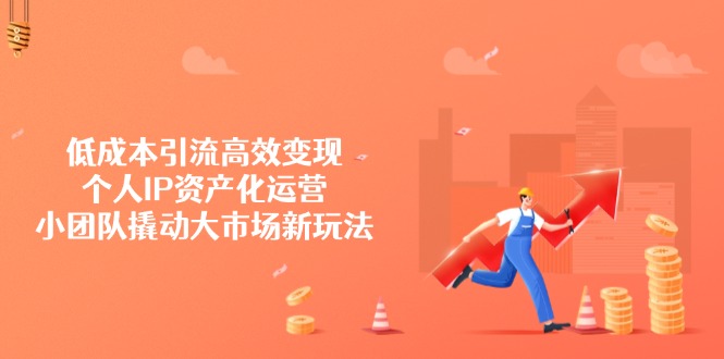 低成本引流高效变现，个人IP资产化运营，小团队撬动大市场新玩法-搞个副业