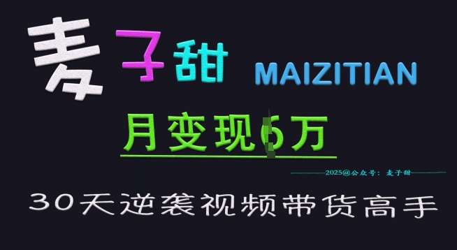 麦子甜30天逆袭视频带货高手，单月变现6W加特训营-搞个副业