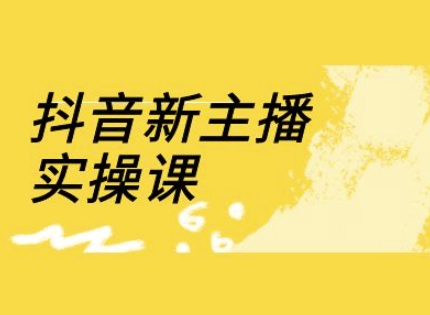 抖音新主播实操课，直播间流量运营线上实操课(18节)-搞个副业