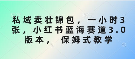私域卖壮锦包，一小时3张，小红书蓝海赛道3.0版本， 保姆式教学-搞个副业