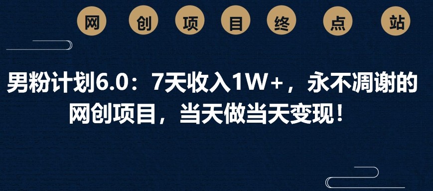 男粉计划6.0：7天收入1W+，永不凋谢的网创项目，当天做当天变现！-搞个副业