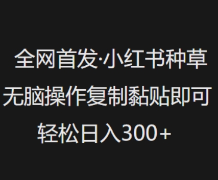 全网首发，小红书种草无脑操作，复制黏贴即可，轻松日入3张-搞个副业