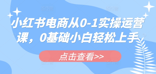 小红书电商从0-1实操运营课，0基础小白轻松上手-搞个副业
