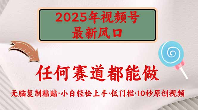 2025年视频号新风口，低门槛只需要无脑执行-搞个副业