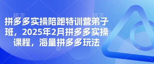 拼多多实操陪跑特训营弟子班，2025年2月拼多多实操课程，海量拼多多玩法-搞个副业