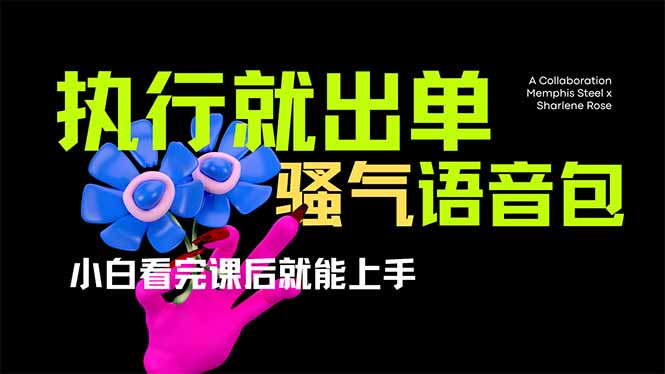 爆火全网的开车导航骚气语音包,只要执行就出单，小白看完课程就能实操…-搞个副业