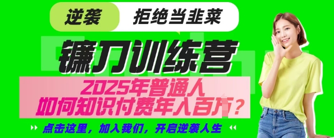 【网创项目终点站-镰刀训练营超级IP合伙人】25年普通人如何通过知识付费实现逆袭【揭秘】-搞个副业