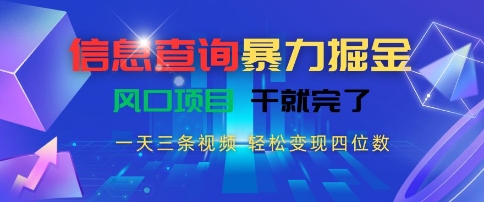 信息查询暴力掘金，一天三条视频，轻松变现四位数，风口项目干就完了【揭秘】-搞个副业
